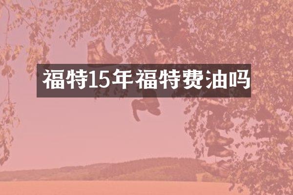 福特15年福特费油吗