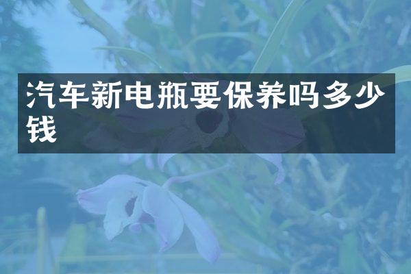 汽车新电瓶要保养吗多少钱