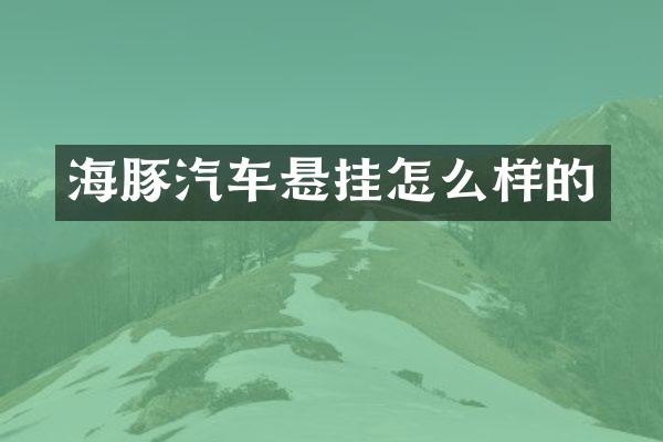 海豚汽车悬挂怎么样的