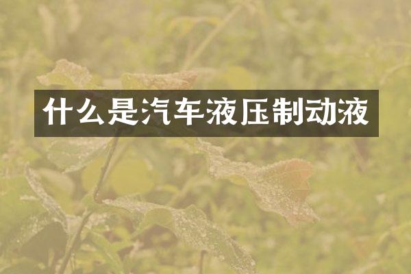 什么是汽车液压制动液