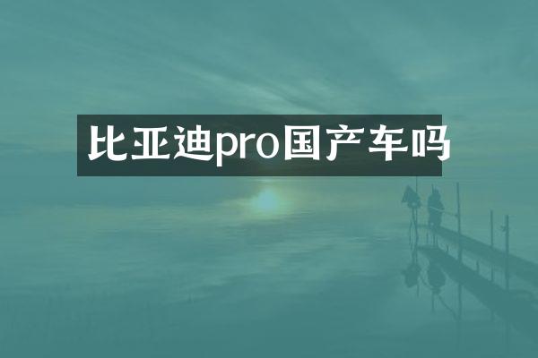比亚迪pro国产车吗
