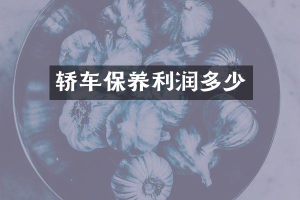 轿车保养利润多少