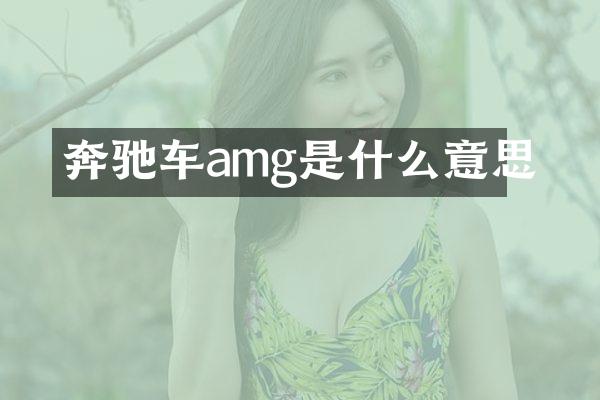 奔驰车amg是什么意思