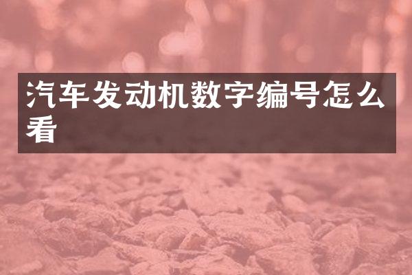 汽车发动机数字编号怎么看