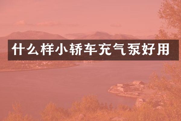 什么样小轿车充气泵好用