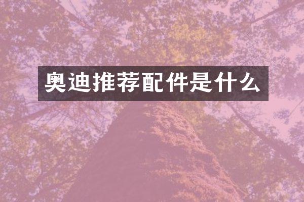 奥迪推荐配件是什么