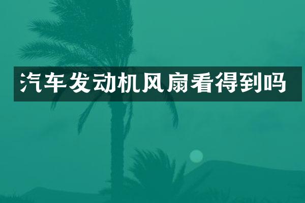 汽车发动机风扇看得到吗