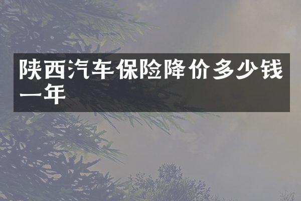 陕西汽车保险降价多少钱一年