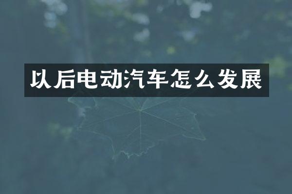 以后电动汽车怎么发展