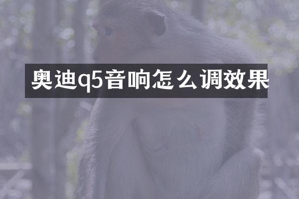 奥迪q5音响怎么调效果