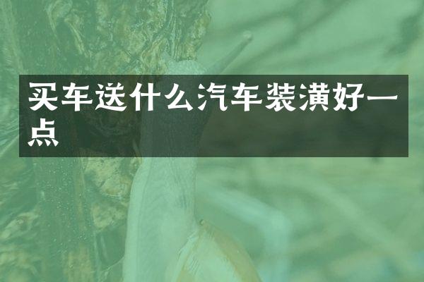 买车送什么汽车装潢好一点