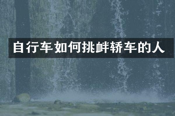 自行车如何挑衅轿车的人