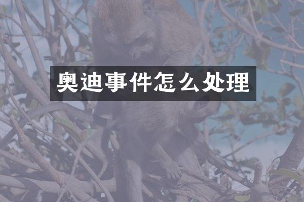 奥迪事件怎么处理