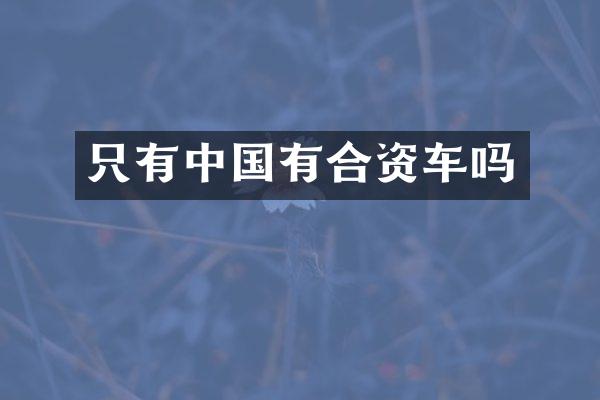 只有中国有合资车吗