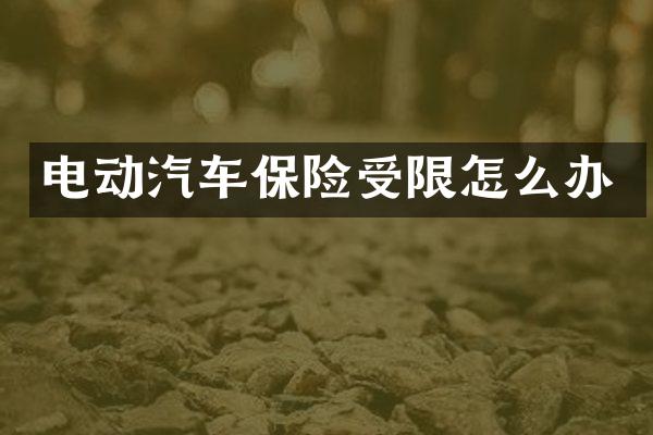 电动汽车保险受限怎么办