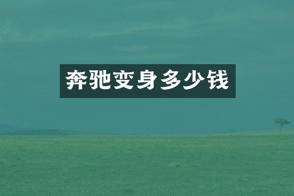 奔驰变身多少钱