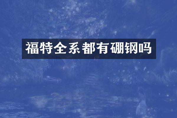 福特全系都有硼钢吗