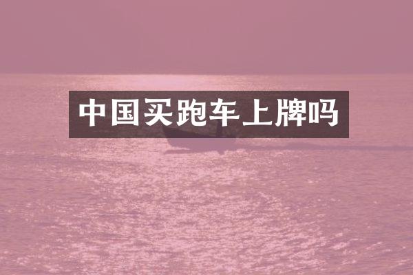 中国买跑车上牌吗