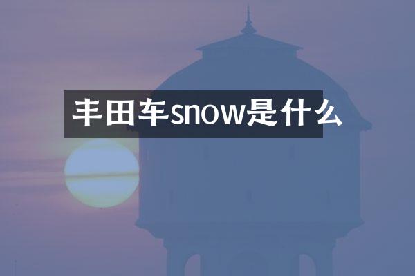 丰田车snow是什么