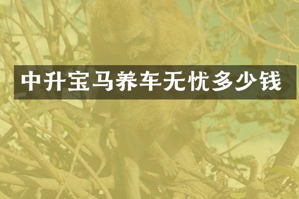 中升宝马养车无忧多少钱