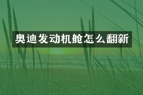 奥迪发动机舱怎么翻新