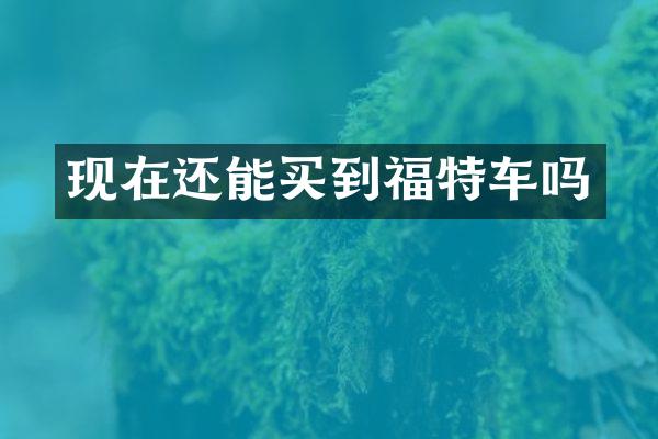 现在还能买到福特车吗