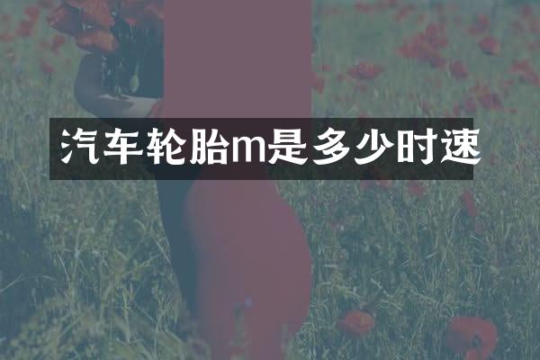 汽车轮胎m是多少时速