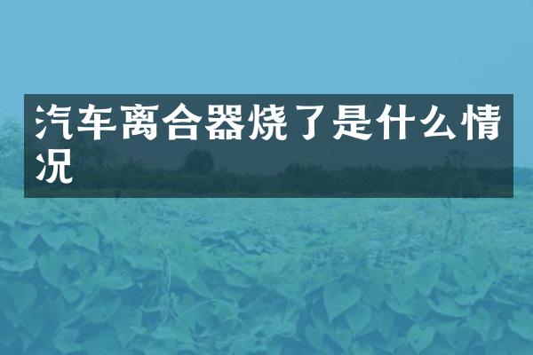 汽车离合器烧了是什么情况
