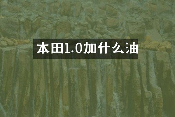 本田1.0加什么油