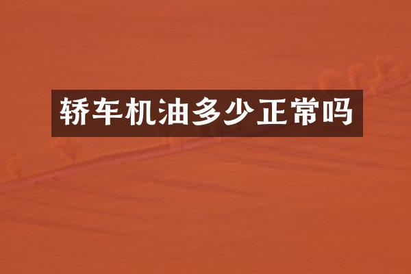 轿车机油多少正常吗