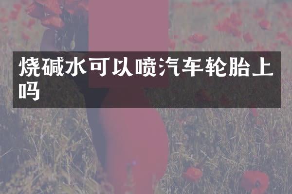 烧碱水可以喷汽车轮胎上吗