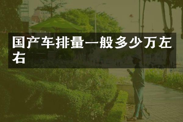 国产车排量一般多少万左右