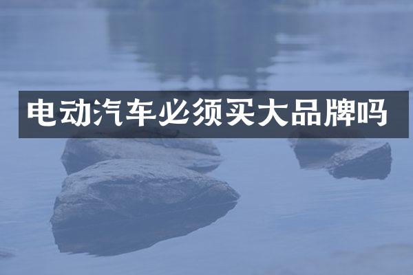 电动汽车必须买大品牌吗