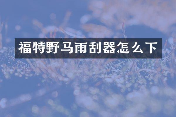 福特野马雨刮器怎么下