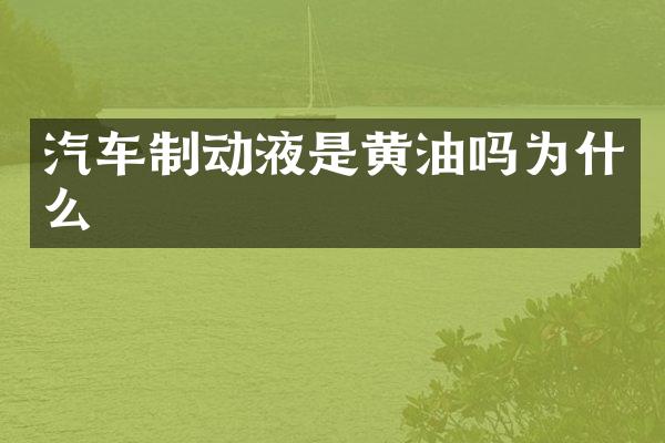汽车制动液是黄油吗为什么