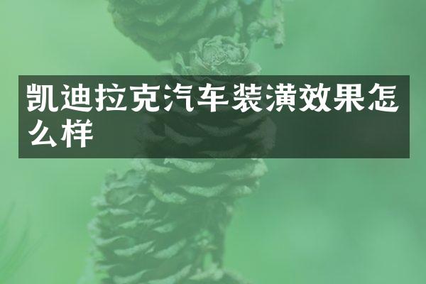 凯迪拉克汽车装潢效果怎么样