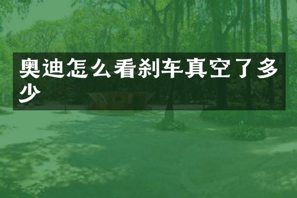 奥迪怎么看刹车真空了多少