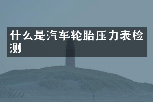 什么是汽车轮胎压力表检测