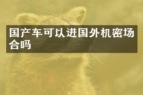 国产车可以进国外机密场合吗