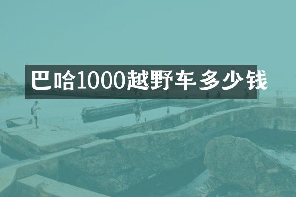 巴哈1000越野车多少钱