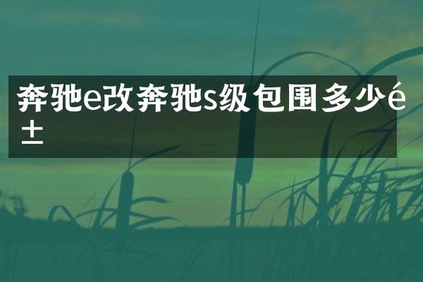 奔驰e改奔驰s级包围多少钱