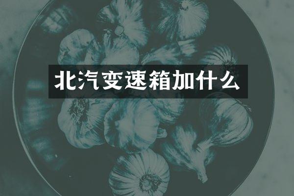 北汽变速箱加什么