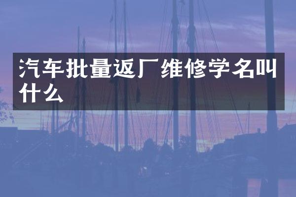 汽车批量返厂维修学名叫什么