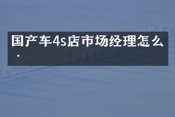 国产车4s店市场经理怎么样
