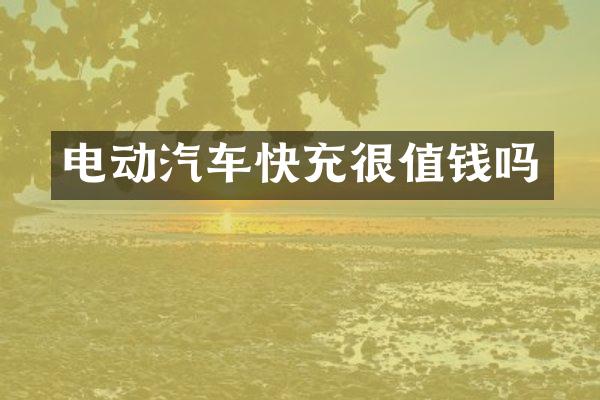电动汽车快充很值钱吗