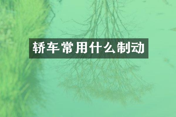 轿车常用什么制动