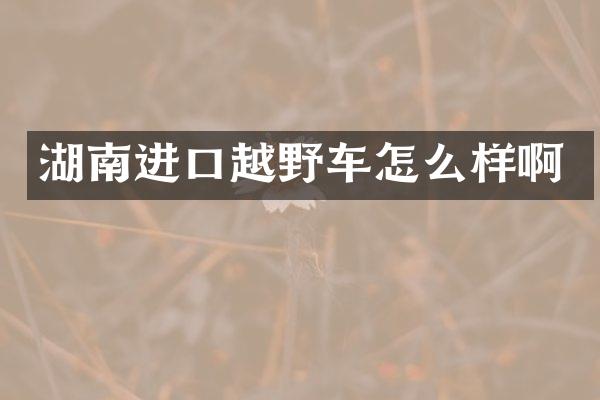 湖南进口越野车怎么样啊