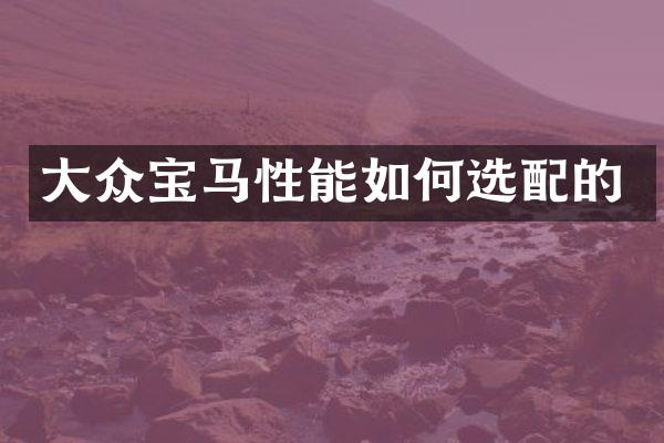 大众宝马性能如何选配的