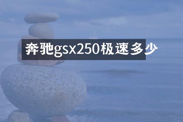 奔驰gsx250极速多少