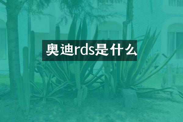 奥迪rds是什么